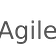 AgileDevServices
