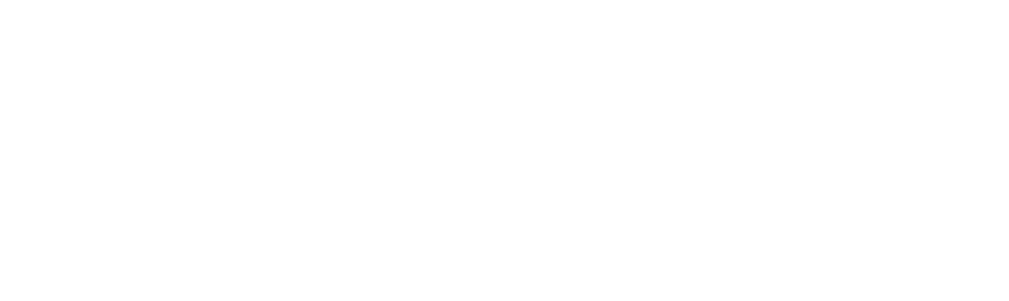 blockchainX