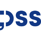 DSS - Digital and Software Solutions
