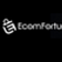 Ecomfortunes