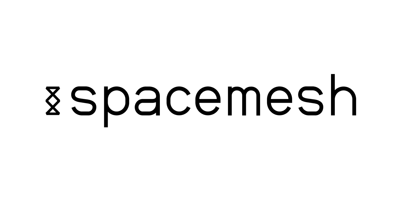 Space Mesh