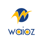 Waioz Consultancy Services
